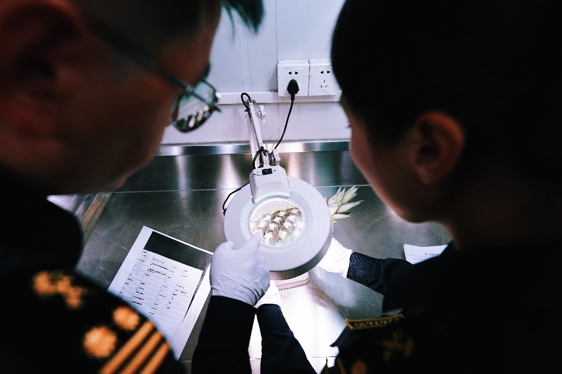 上海海關(guān)關(guān)員針對(duì)檢疫性有害生物和農(nóng)藥殘留進(jìn)行檢疫檢驗(yàn)。陳興洲攝