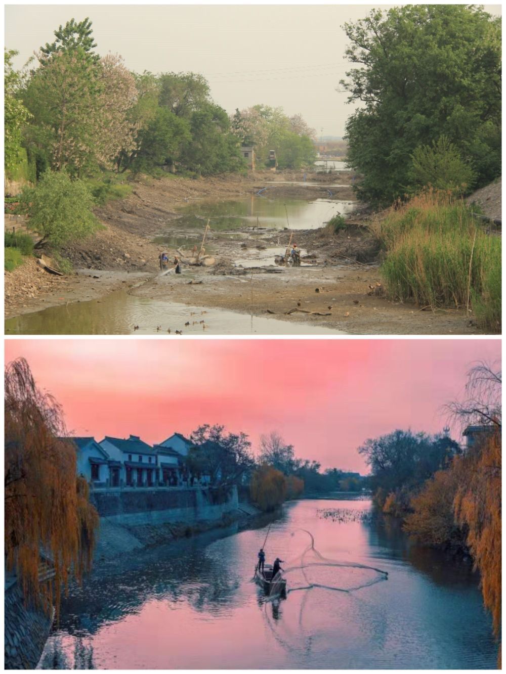 江蘇省揚(yáng)州市江都區(qū)明清運(yùn)河故道整治前后。（上圖：2012年；下圖：2020年）（孫友定 攝）