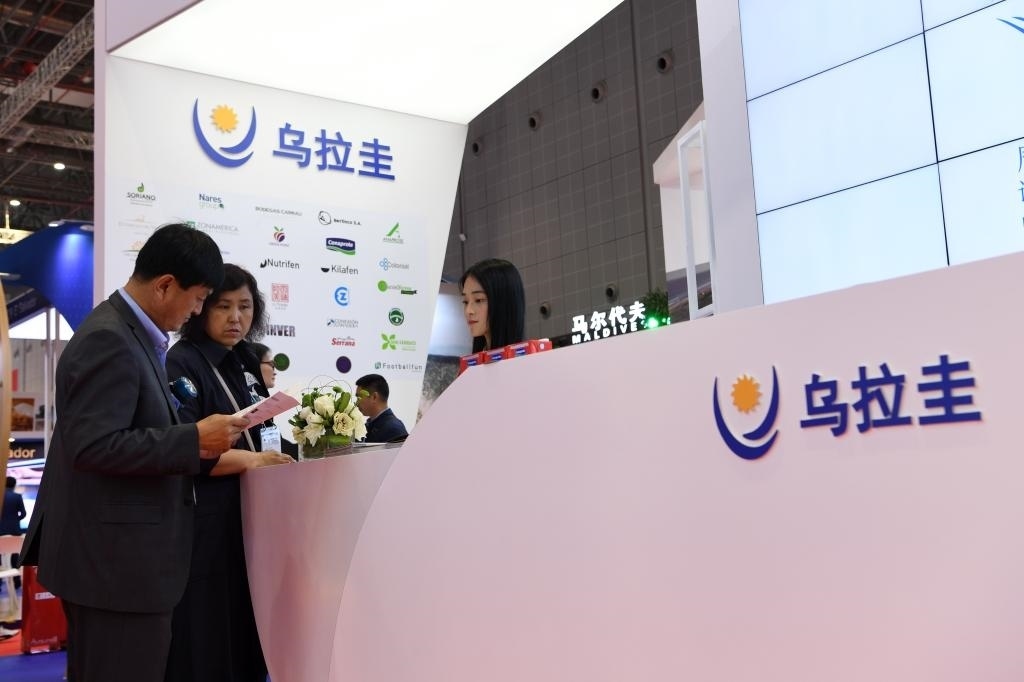 2019年11月6日，參觀者在第二屆進(jìn)博會(huì)烏拉圭國(guó)家館展臺(tái)咨詢。