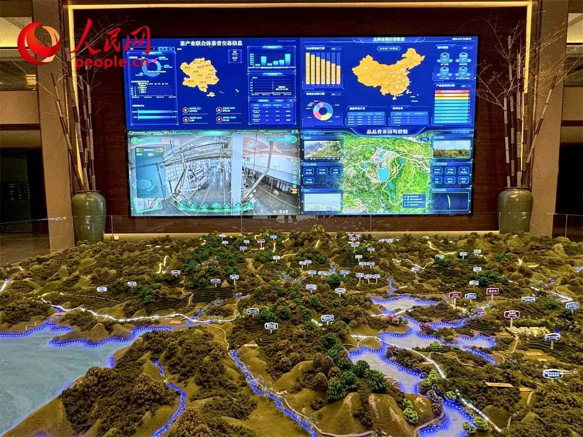 品品香白茶產(chǎn)業(yè)園信息中心數(shù)智化大屏。人民網(wǎng)記者 劉微攝