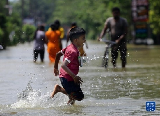 11月24日，一名男孩在斯里蘭卡加姆珀哈涉水出行。新華社發(fā)（阿吉特·佩雷拉攝）