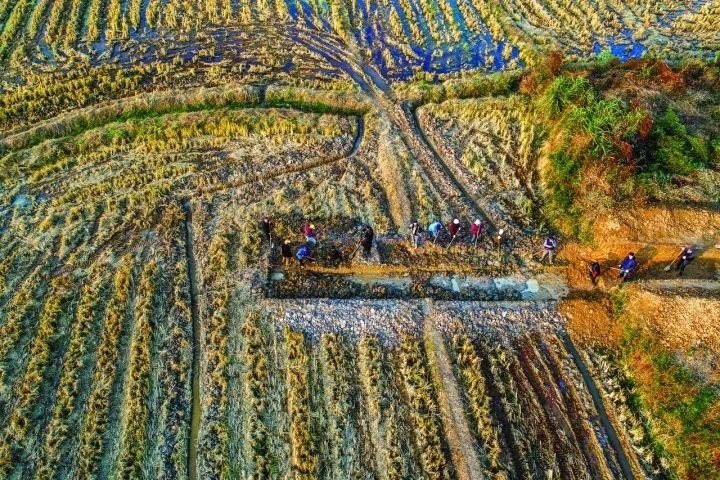 良渚遺址考古發(fā)掘現(xiàn)場(chǎng)。