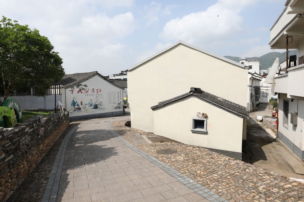 浙江省義烏市李祖村一景（2023年5月23日攝）。新華社記者 杜瀟逸 攝