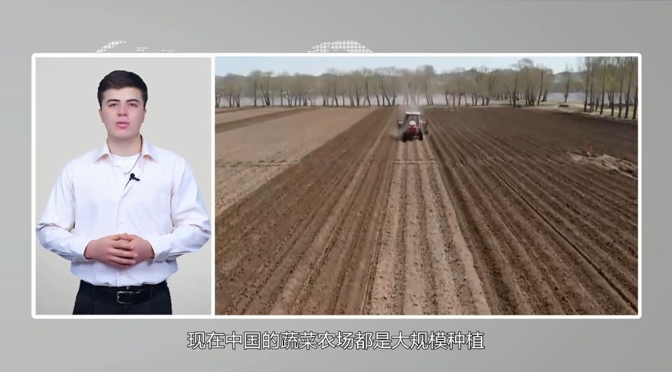 【國際3分鐘】中國大蒜成國家威脅？美政客反智言論背后的問題值得思考_fororder_2