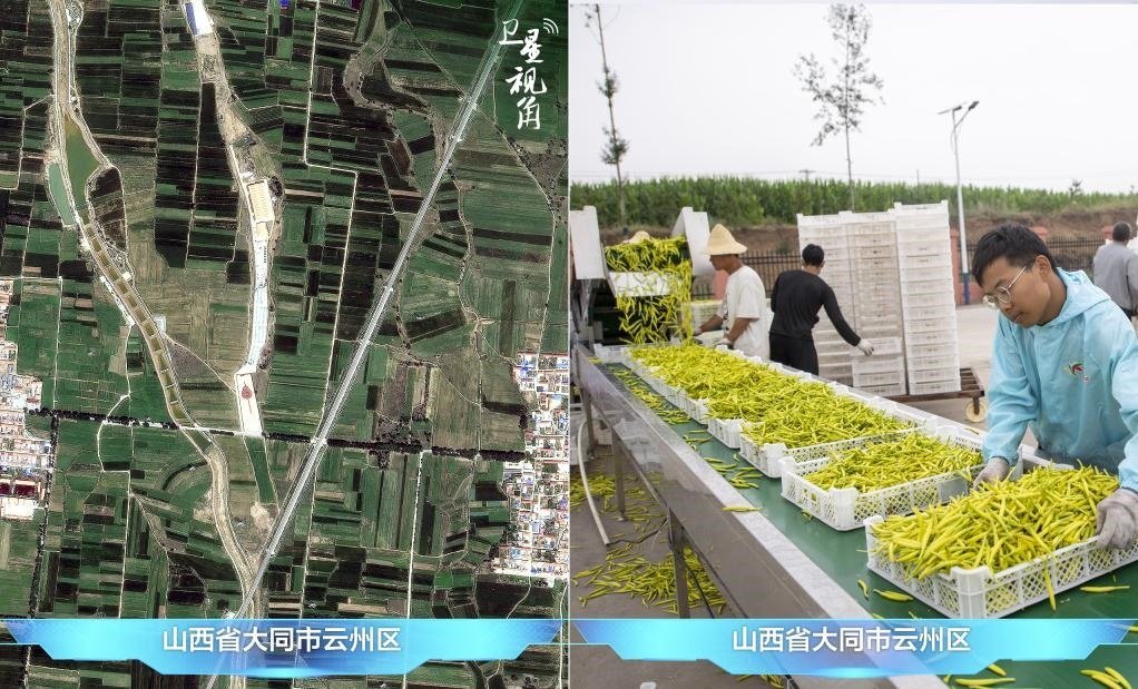 當前，大同市開發(fā)黃花菜品、食品、飲品、功能食品、化妝品、文創(chuàng)產(chǎn)品六大系列130余種，全產(chǎn)業(yè)鏈產(chǎn)值超40億元。