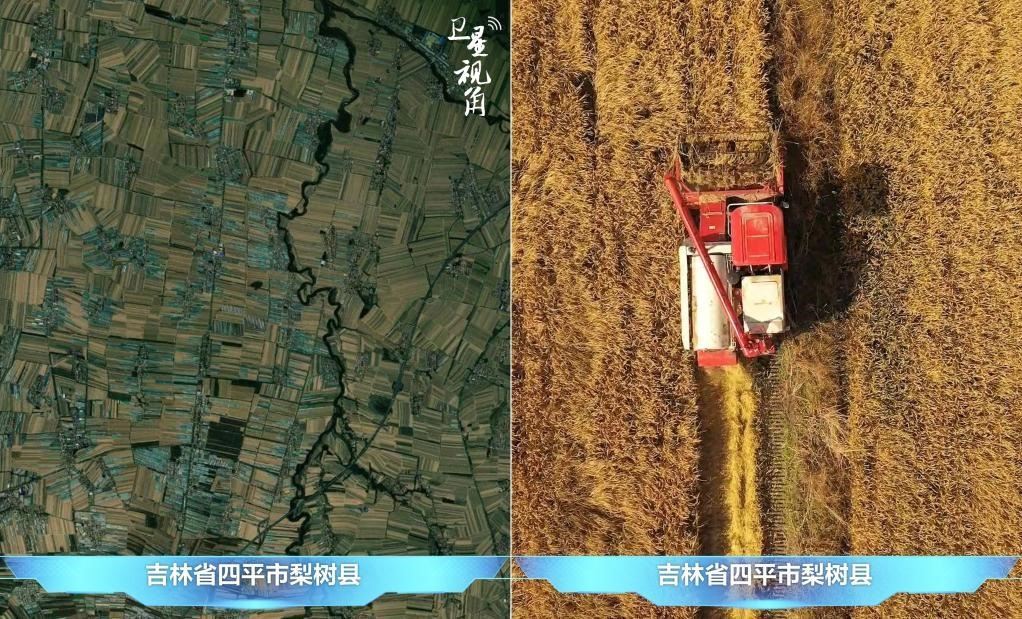 隨著現(xiàn)代化農(nóng)機普及應用，保護性耕作“梨樹模式”得以大面積推廣，不僅使黑土地保護與利用持續(xù)深入，更為糧食作物高產(chǎn)穩(wěn)產(chǎn)助力。