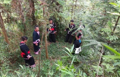 “瑤老”人民調解員翻山越嶺開展現(xiàn)場調解。