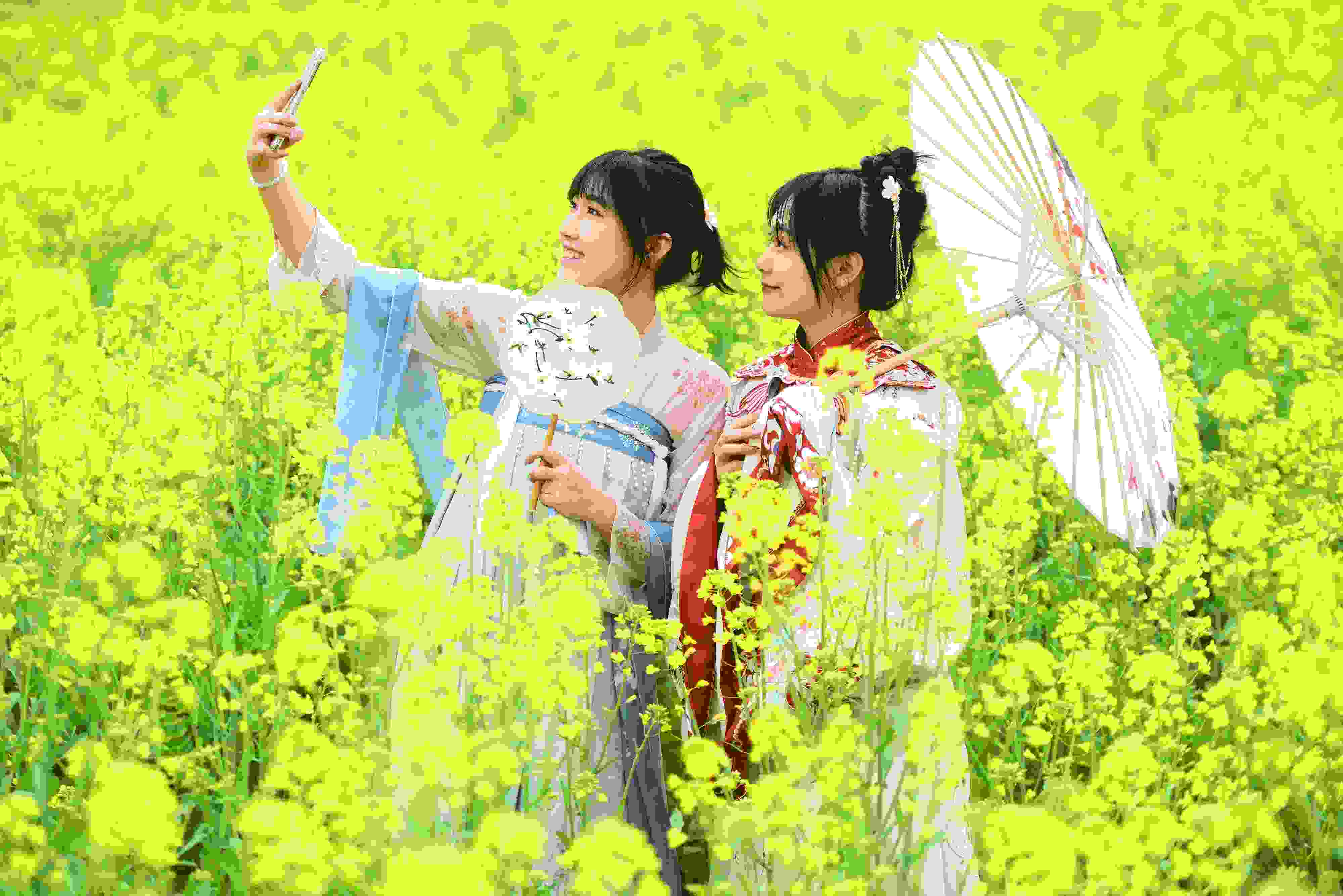 △ 2024年2月16日，廣西賀州，在富川瑤族自治縣麥嶺鎮(zhèn)三民村，游客在油菜花田間賞花拍照。