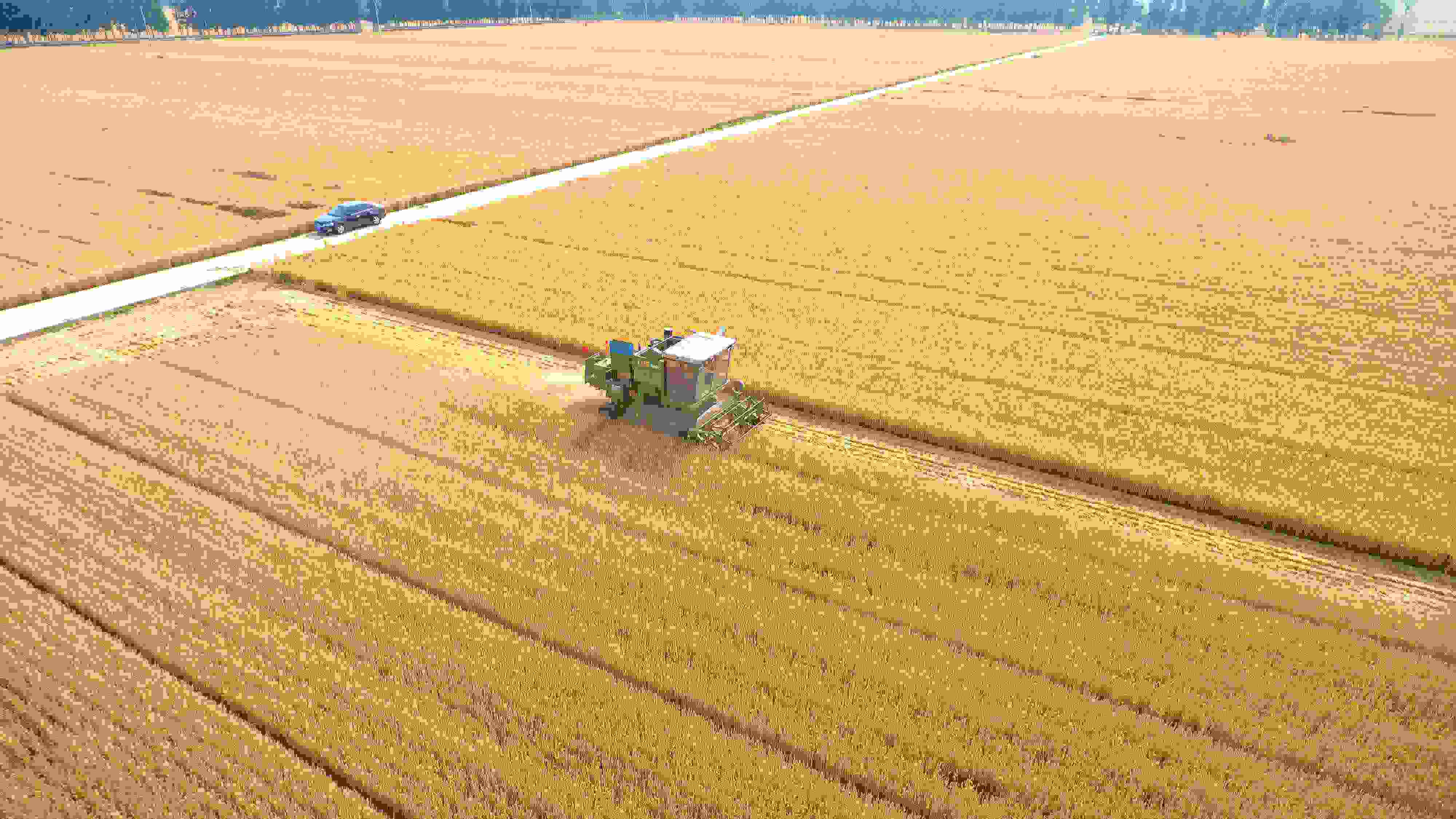 △ 2023年6月5日，山東聊城茌平區(qū)賈寨鎮(zhèn)王藥包村，收割機(jī)在田間進(jìn)行小麥?zhǔn)崭钭鳂I(yè)。