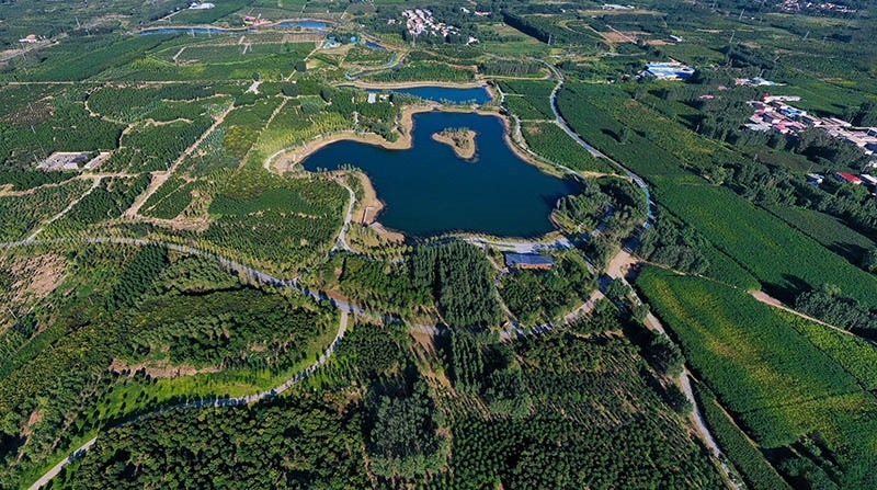 這是2022年9月6日拍攝的雄安新區(qū)“千年秀林”。