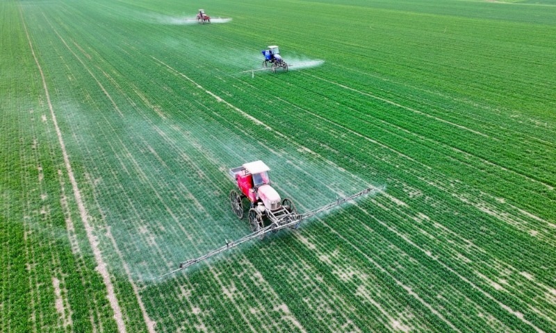 2024年2月18日，安徽省亳州市，利辛縣紀(jì)王場(chǎng)鄉(xiāng)孫老家村麥田，農(nóng)民駕駛自走式高桿噴霧機(jī)對(duì)小麥進(jìn)行噴藥作業(yè)。