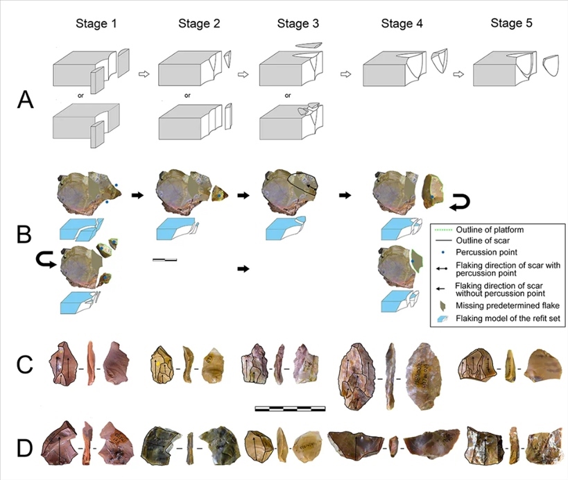 岑家灣遺址“準備石核技術”及相關石制品。（受訪單位供圖）