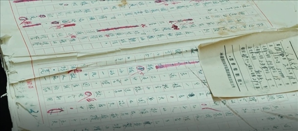 曲波《林海雪原》手稿。主辦方供圖