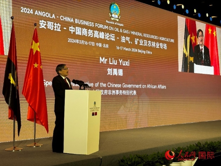 中國政府非洲事務(wù)特別代表劉禹錫。人民網(wǎng)記者 張榮攝