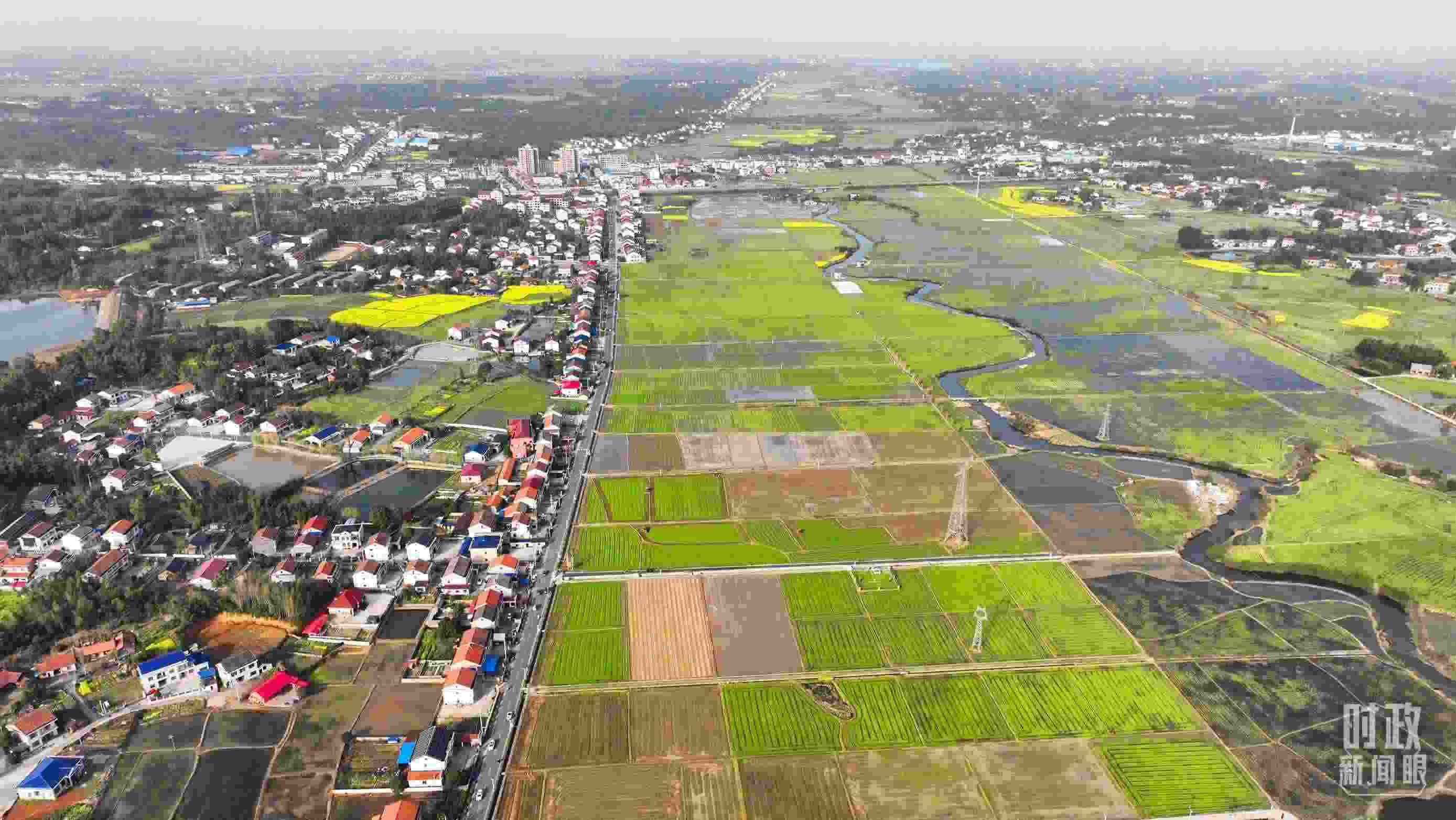 △俯瞰常德市謝家鋪鎮(zhèn)港中坪村。（總臺(tái)國廣記者李晉拍攝）