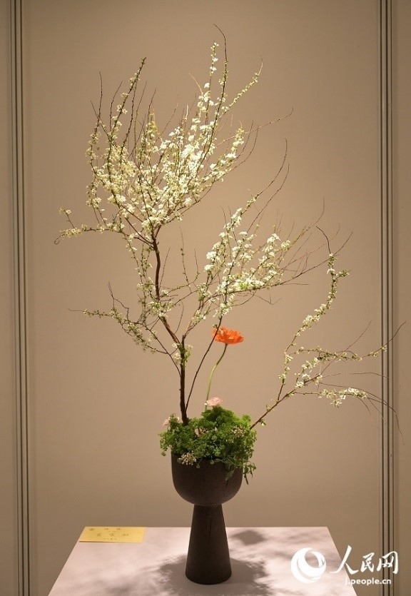 插花作品。人民網(wǎng) 玄番登史江攝