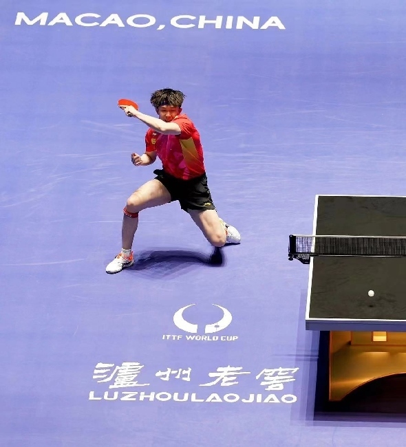 王楚欽在比賽中。賽事方供圖