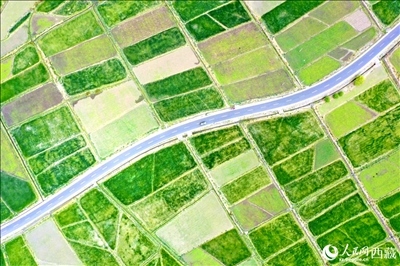 無人機視角下的西藏山南市瓊結(jié)農(nóng)田。人民網(wǎng)記者 次仁羅布攝