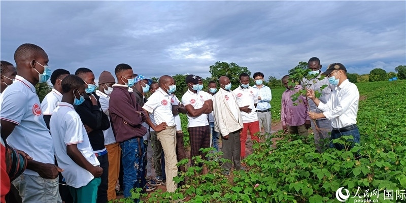 項(xiàng)目組長首小勇向當(dāng)?shù)孛揶r(nóng)做技術(shù)講解。人民網(wǎng)記者 黃培昭攝