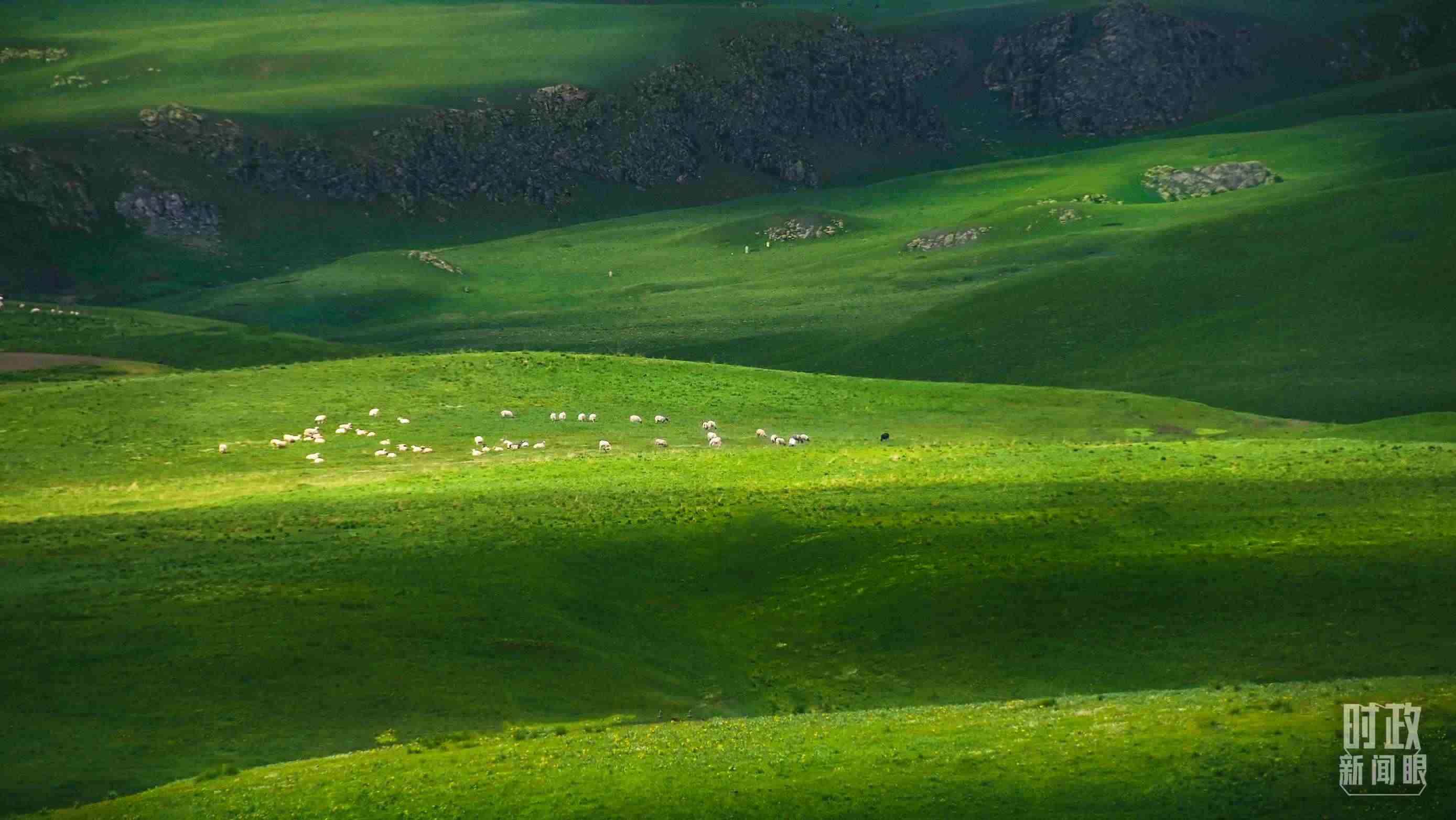 △祁連山草原光影。（圖/視覺(jué)中國(guó)）