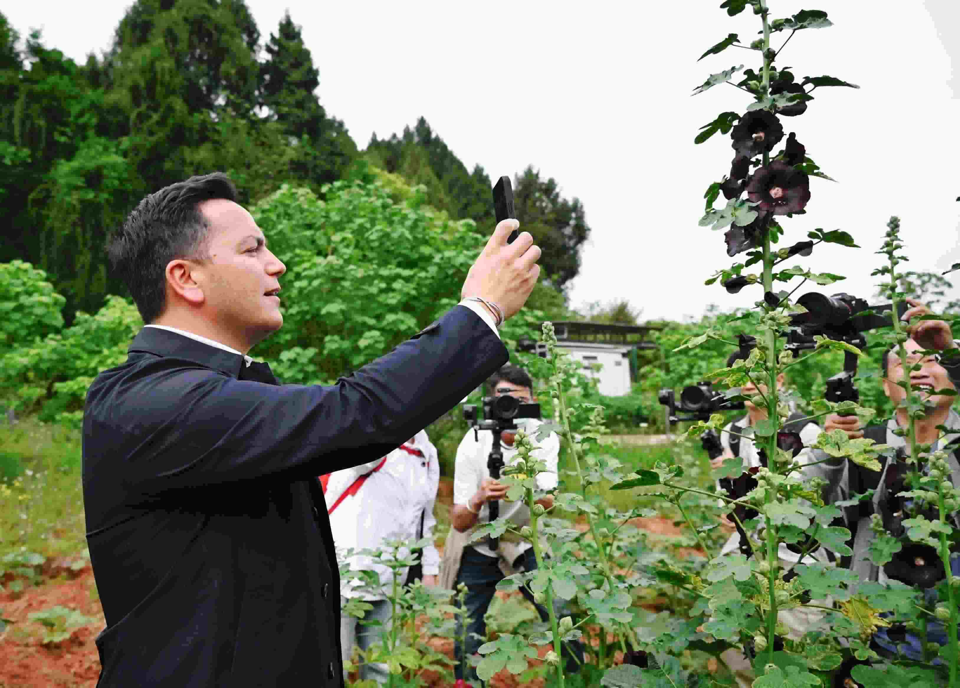  △2024年4月23日，國際園藝生產(chǎn)者協(xié)會主席萊昂納多·卡皮塔尼奧在成都市金堂縣鮮花山谷景區(qū)考察蜀葵產(chǎn)業(yè)。