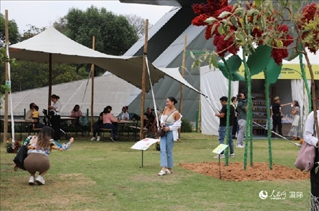 坎波·馬特活動現(xiàn)場。埃內(nèi)斯托·多明戈斯攝