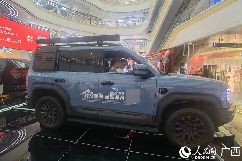 消費(fèi)者在商場(chǎng)選購(gòu)汽車(chē)。人民網(wǎng)記者 陳燕攝