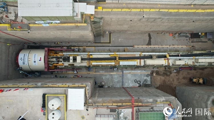 質(zhì)構(gòu)機(jī)全景。陳露明攝