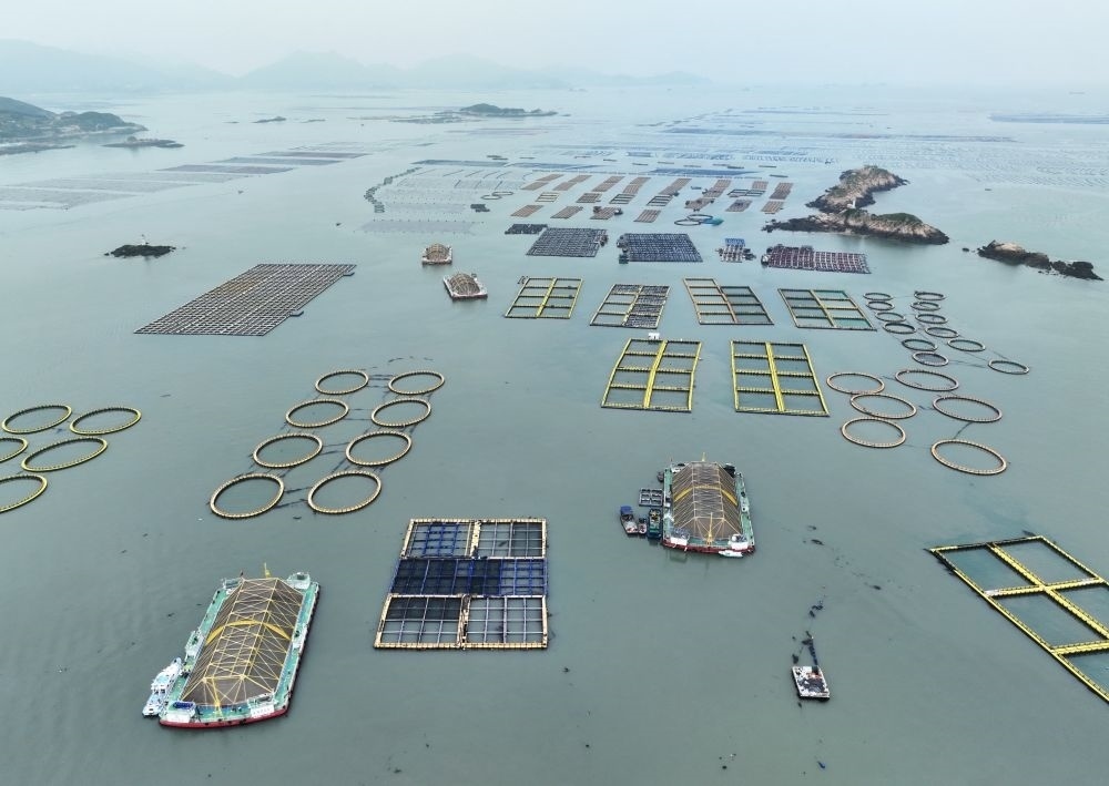 在福建連江定海灣海域，坐落著“定海灣1號(hào)”“定海灣2號(hào)”等深遠(yuǎn)海養(yǎng)殖平臺(tái)（2024年5月7日攝，無(wú)人機(jī)照片）。新華社記者 林善傳 攝