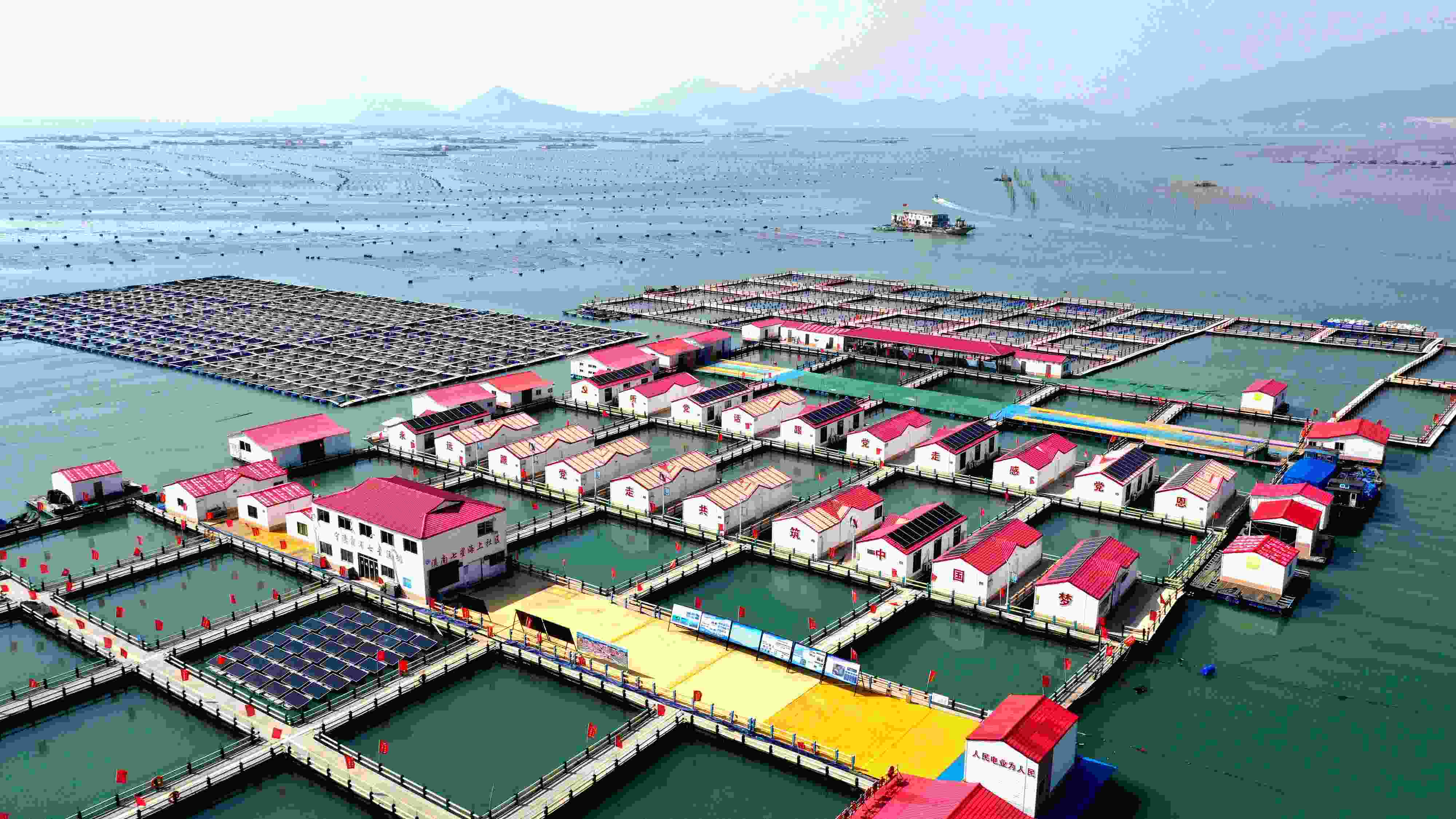 2024年3月20日，福建省寧德市，霞浦縣溪南鎮(zhèn)七星村漁排養(yǎng)殖示范區(qū)，漁民駕駛養(yǎng)殖船進行海參養(yǎng)殖作業(yè)。