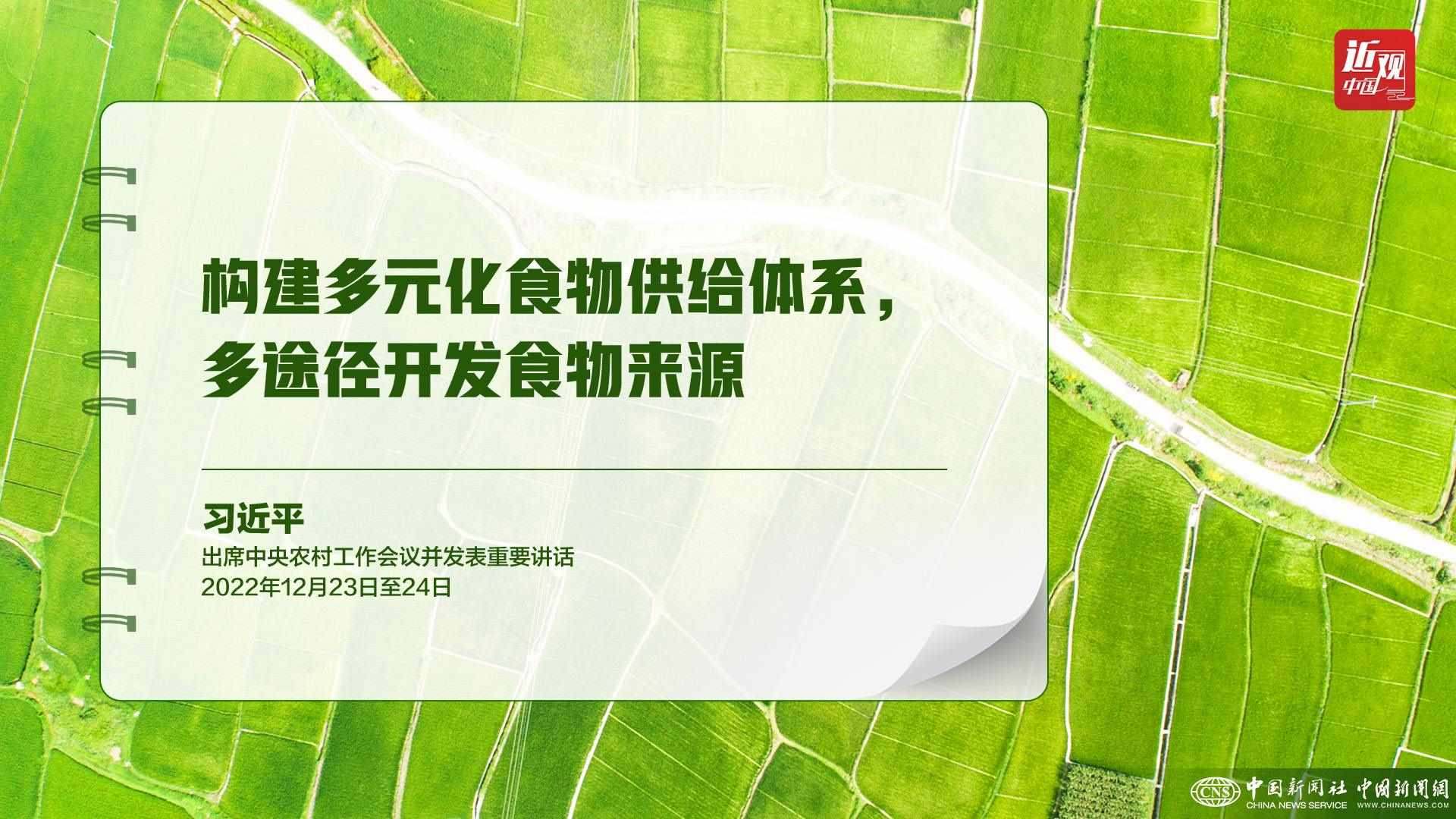 習近平：樹立大食物觀，構建多元化食物供給體系