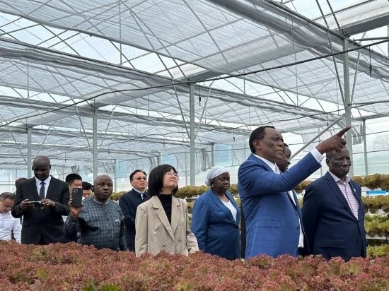 使節(jié)團(tuán)考察貴州省清鎮(zhèn)駱家橋蔬菜保供基地的無土栽培溫室。新華社記者 袁睿 攝