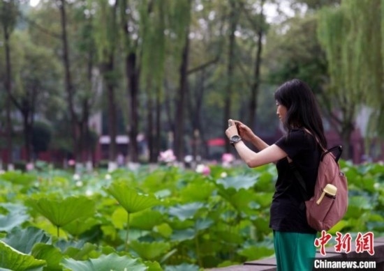 6月19日，時(shí)值一年畢業(yè)季，四川大學(xué)望江校區(qū)荷花池里的荷花盛開，成為了畢業(yè)生們的打卡圣地，吸引了眾多畢業(yè)生拍照留念。圖為畢業(yè)生在荷花池邊拍照留念。中新社記者 安源 攝