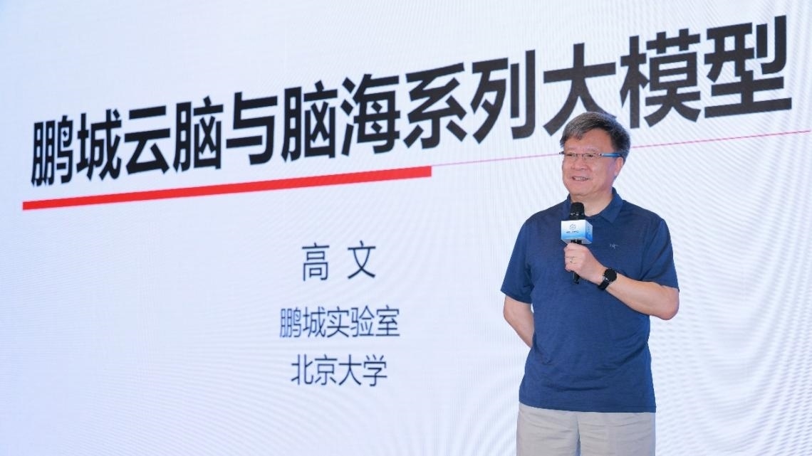 高文院士做大會特邀報告。主辦方供圖