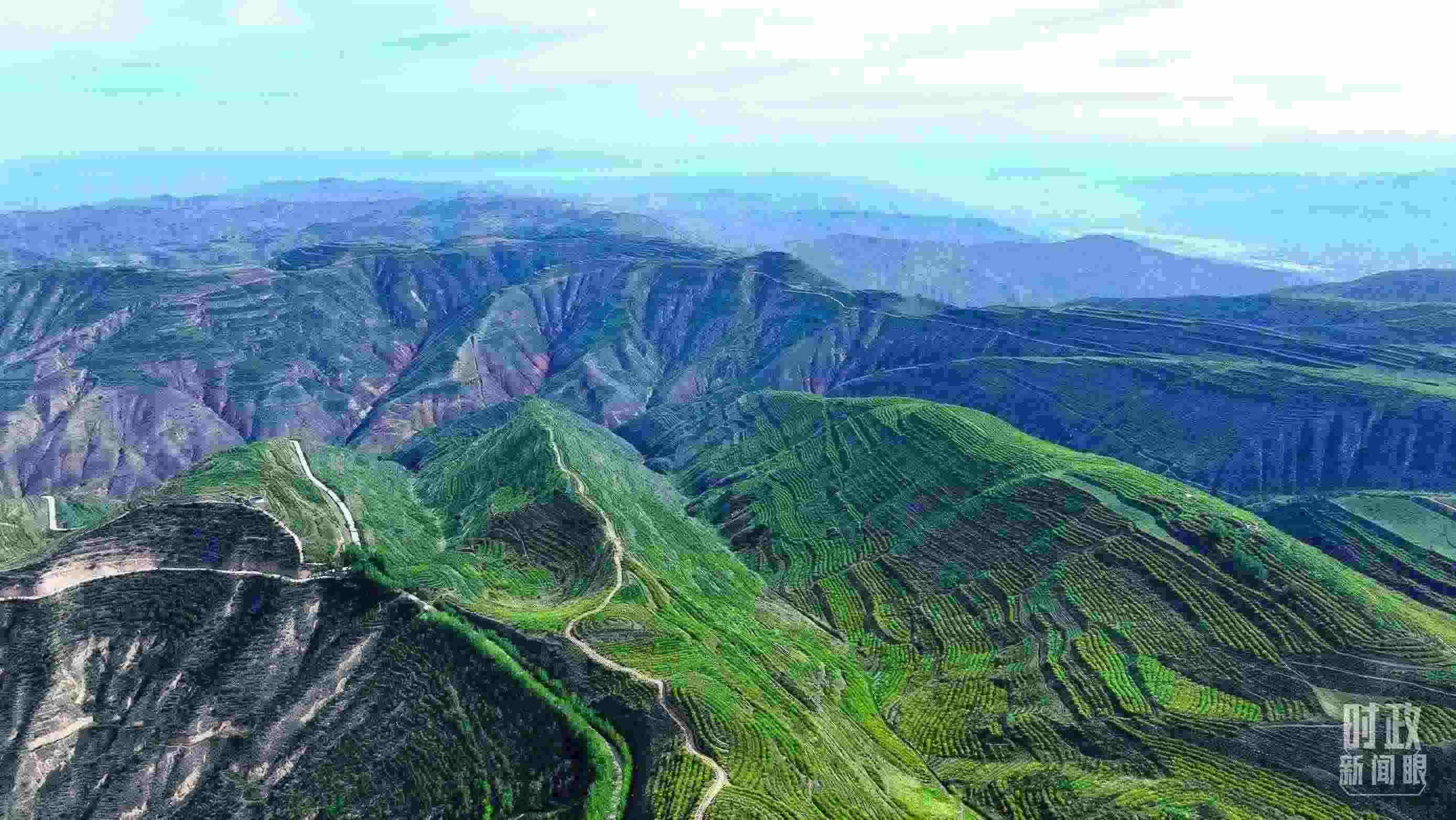 △青海西寧。（總臺記者柳成拍攝）