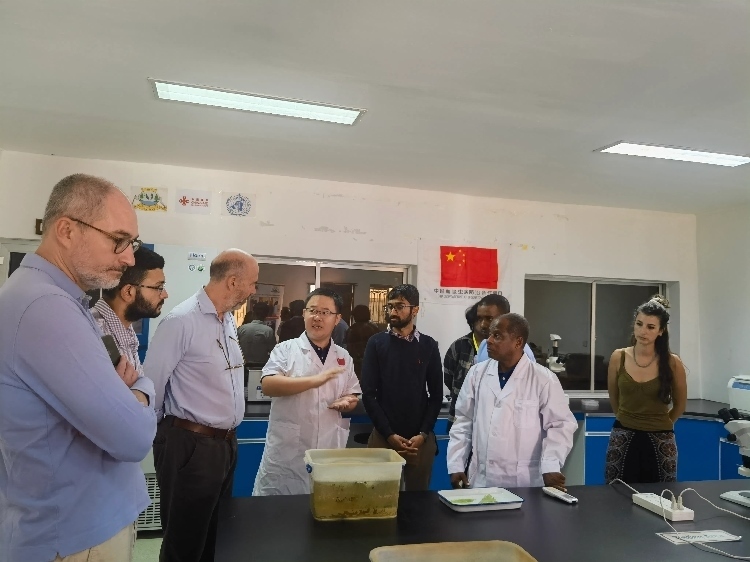 活動(dòng)現(xiàn)場(chǎng)。專(zhuān)家組供圖