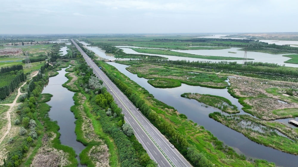 這是2024年6月13日拍攝的黃河寧夏段濱河大道（無人機照片）。近年來，寧夏努力建設(shè)黃河流域生態(tài)保護和高質(zhì)量發(fā)展先行區(qū)，全力打好黃河保護持久戰(zhàn)。新華社記者 王鵬 攝