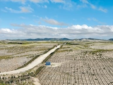 剛剛竣工的其白線穿沙公路。