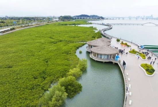 2024年1月23日拍攝的廈門市翔安區(qū)下潭尾紅樹林公園（無人機(jī)照片）。新華社記者 林善傳 攝