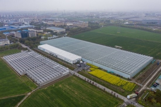 2024年3月28日，空中俯瞰嘉興南湖區(qū)湘家蕩農(nóng)業(yè)數(shù)字化工廠（無人機(jī)照片）。該農(nóng)業(yè)數(shù)字化工廠占地總面積約62畝，包含智慧農(nóng)業(yè)生產(chǎn)、物聯(lián)網(wǎng)智能管理、自動(dòng)分揀包裝、保鮮儲(chǔ)藏物流、高科技示范展示等五大功能區(qū)，可直接或間接培養(yǎng)帶動(dòng)新型職業(yè)技術(shù)農(nóng)民500人以上。新華社記者 徐昱 攝