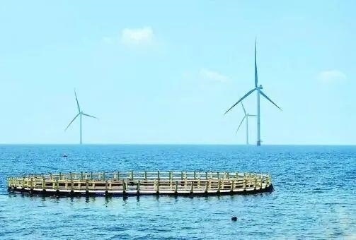 △山東萊州風(fēng)電項(xiàng)目實(shí)現(xiàn)了海上風(fēng)電和海洋牧場(chǎng)融合發(fā)展。