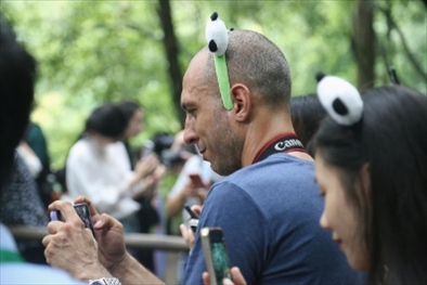 俄羅斯《俄羅斯報》視覺內(nèi)容編輯阿爾圖爾·杰魯諾夫在拍攝熊貓。（李佩藺 攝）