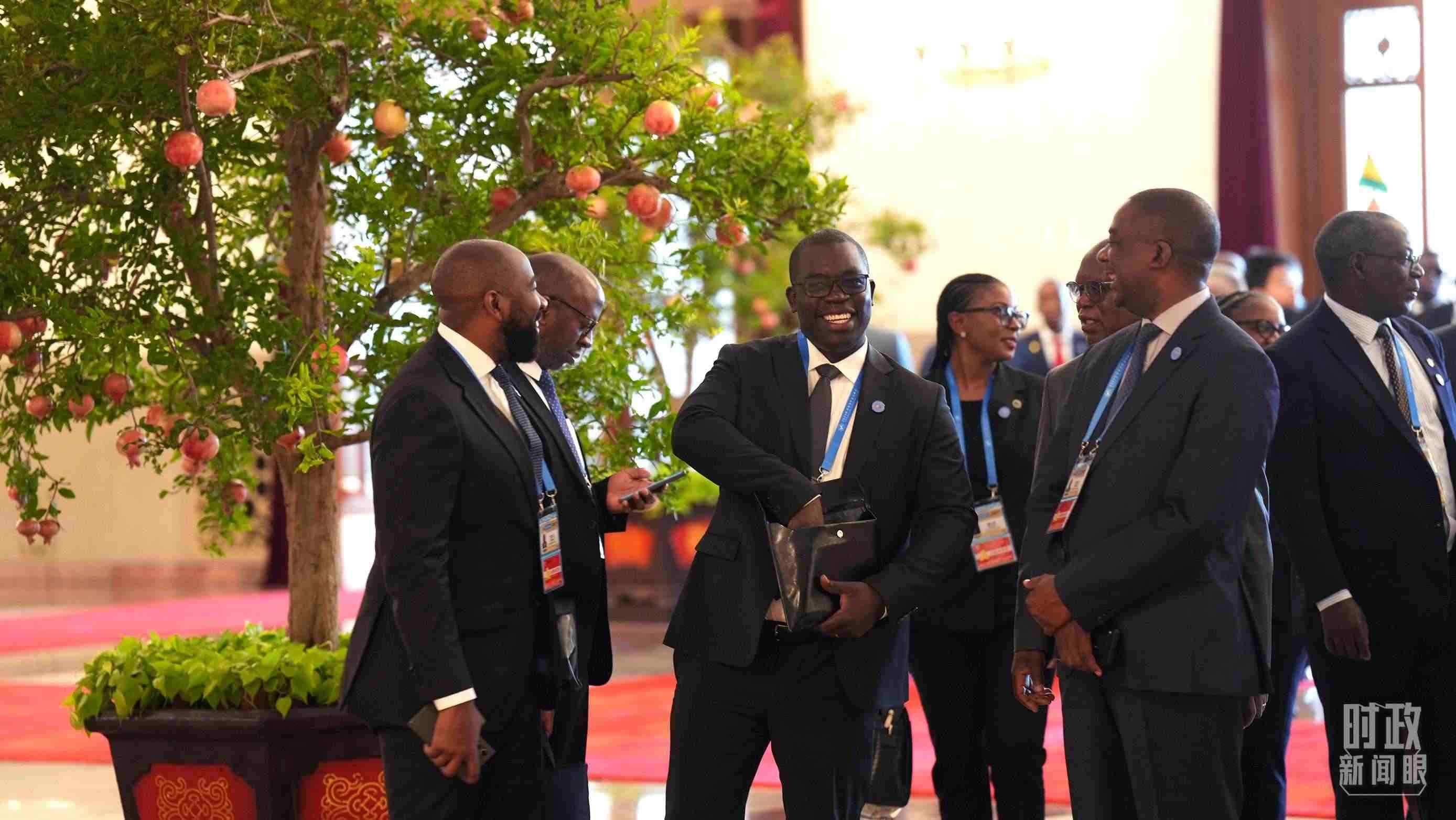 出席中非合作論壇北京峰會(huì)的非洲國(guó)家代表。（總臺(tái)記者李晉拍攝）