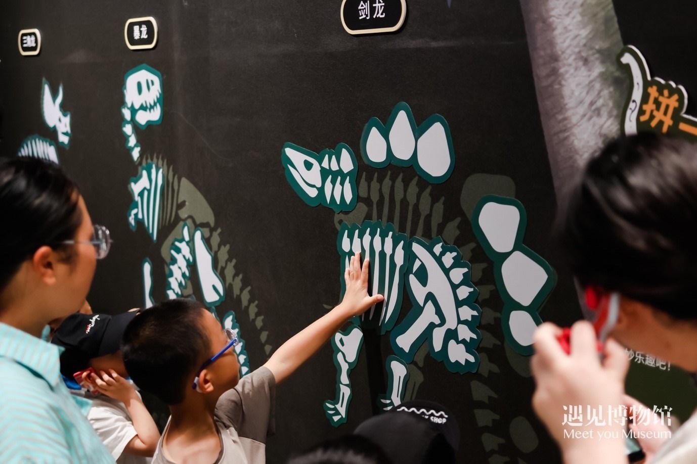 5. “2億年的地球記憶——恐龍化石特展”互動區(qū)域。遇見博物館供圖