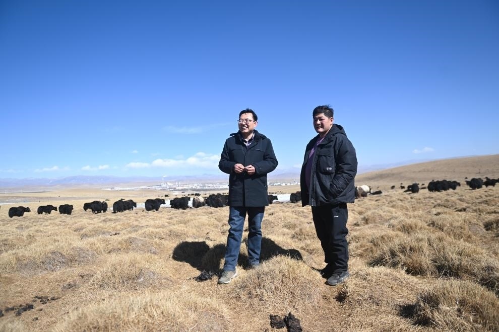 2023年2月24日，在青海省海北藏族自治州海晏縣青海湖鄉(xiāng)達(dá)玉日秀村，全國人大代表董全民（左）查看牧民東知布家的草場。新華社記者 張龍 攝