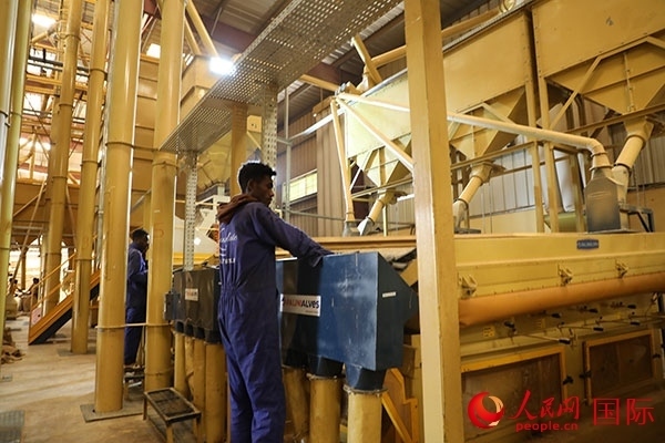 在Bule Hora咖啡加工廠里工作的當(dāng)?shù)毓と藗?。人民網(wǎng)記者 沈小曉攝