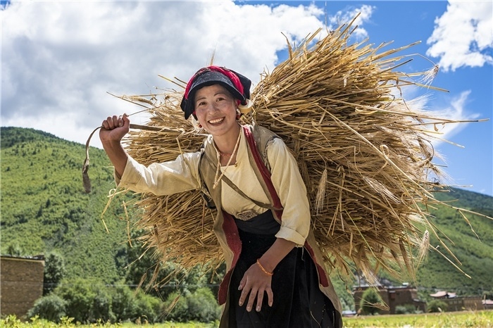 康定市甲根壩鎮(zhèn)青稞豐收，農(nóng)牧民臉上洋溢著豐收的喜悅。林革文攝