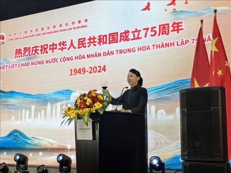 中國駐峴港總領(lǐng)事董碧幽在招待會(huì)上致辭。中國駐峴港總領(lǐng)館供圖