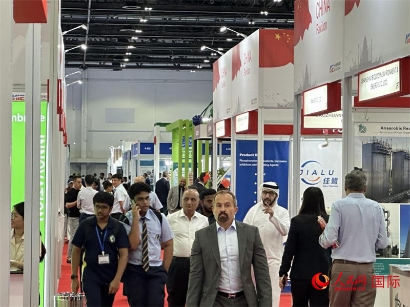 中國(guó)館一角。人民網(wǎng)記者管克江攝