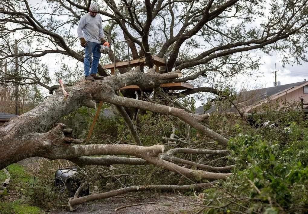 2021年8月30日，在美國(guó)路易斯安那州霍馬，一名男子站在被颶風(fēng)吹倒的大樹(shù)上。新華社發(fā)（尼克·瓦格納 攝）